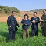 　農場を視察する北朝鮮の朴泰成首相（左端）（朝鮮通信＝共同）