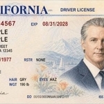 　米カリフォルニア州のニューサム知事の肖像画が入った運転免許証（ニューサム氏の広報室のＸから、共同）