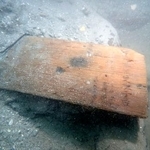 　元寇の船と確認された沈没船の船底で発見された木板＝２０２４年１０月、長崎県松浦市の鷹島沖（松浦市教育委員会提供）