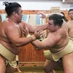 　稽古する霧島（左）と安青錦＝東京都中央区の荒汐部屋