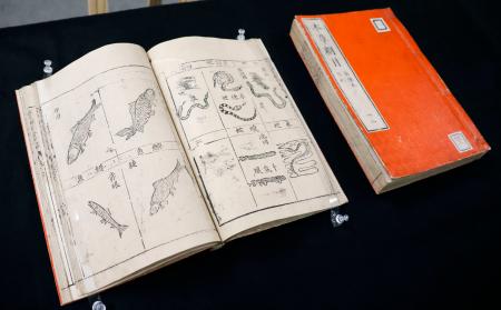 1億円鑑定の中国・古文書展示|全国海外|神戸新聞NEXT