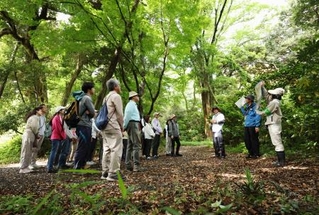 　皇居・吹上御苑で行われた自然観察会の参加者＝４日午前（代表撮影）