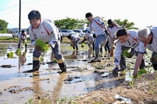 　田植えをするアイリスオーヤマの大山晃弘社長（左）とグループ会社の社員ら＝１２日午後、宮城県丸森町