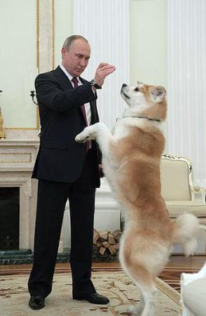 　ロシアのプーチン大統領と秋田犬「ゆめ」（ロシア大統領府提供・共同）