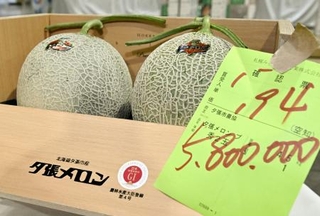 　初競りで２玉５８０万円で落札された「夕張メロン」＝２２日午前、札幌市