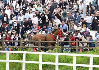 　相馬野馬追の「甲冑競馬」で、コースの外に飛び出した馬＝２４日午後、福島県南相馬市