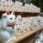 　奉納された大小さまざまな招き猫＝２０１５年、東京都世田谷区の豪徳寺