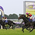 　第１７３回天皇賞・春で優勝したクロワデュノール。鼻差２着はヴェルテンベルク（１５）＝京都競馬場