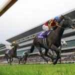　第１７３回天皇賞・春で優勝したクロワデュノール（手前）＝京都競馬場
