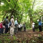 　皇居・吹上御苑で行われた自然観察会の参加者＝４日午前（代表撮影）