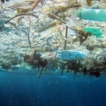 　大量の海洋プラスチックごみ（米海洋大気局提供）