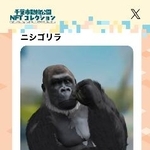 　ニシゴリラのモンタの３Ｄモデル画像（パシフィックコンサルタンツ提供）