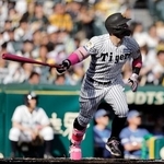 　６回阪神１死、佐藤が左中間に本塁打を放つ＝甲子園