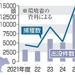 　全国のクマ出没件数と捕獲数