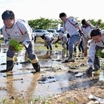 　田植えをするアイリスオーヤマの大山晃弘社長（左）とグループ会社の社員ら＝１２日午後、宮城県丸森町