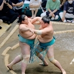　一山本（右）が押し出しで琴桜を破る＝両国国技館