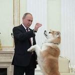　ロシアのプーチン大統領と秋田犬「ゆめ」（ロシア大統領府提供・共同）