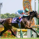 　第２１回ヴィクトリアマイルを制したクリストフ・ルメール騎乗のエンブロイダリー＝東京競馬場