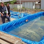 　展示されている紫電改のエンジンと見学者ら＝１６日、鹿児島県出水市