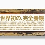　山田水産が販売する完全養殖ウナギのかば焼き。１匹入りの商品パッケージ（同社提供）