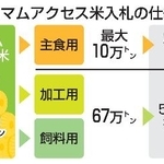 　ミニマムアクセス米入札の仕組み