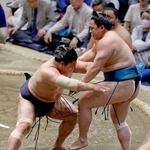 　若隆景（左）が押し出しで琴栄峰を下す＝両国国技館