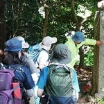 　７年ぶりに開催された「高野参詣道町石道登山」＝２４日午前、和歌山県九度山町