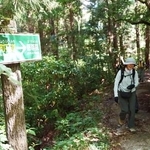 　７年ぶりに開催された「高野参詣道町石道登山」＝２４日午前、和歌山県九度山町
