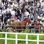 　相馬野馬追の「甲冑競馬」で、コースの外に飛び出した馬＝２４日午後、福島県南相馬市