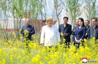 　北朝鮮・新義州で開花したばかりの菜の花畑を視察する金正恩朝鮮労働党総書記（手前左）と娘（同右）＝５月３１日（朝鮮通信＝共同）