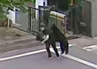 　福島製鋼の敷地内で従業員を襲うクマ＝２日午前、福島市（同社提供）