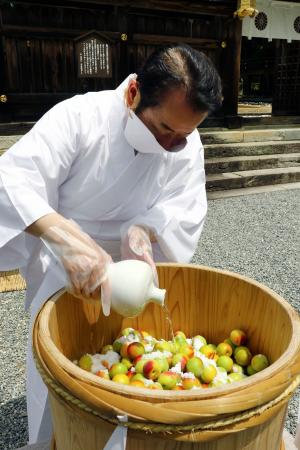 　和歌山県田辺市の熊野本宮大社で行われた「梅漬けの儀」＝６日午前