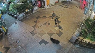 　宇都宮市内の商店街を走り抜けるクマ＝７日午前２時２０分ごろ（宇都宮オリオン通り商店街振興組合提供）