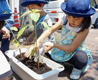 　ヒマワリに水やりする幼稚園児＝１２日午前、大阪・阿倍野署
