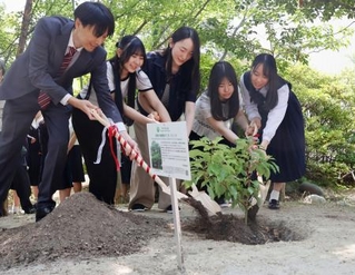 　被爆クスノキの苗木を植樹する人たち＝１３日午前、名古屋市