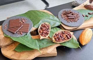 　お披露目された国産カカオ豆を１００％使ったチョコレート＝２４日午後、三重県多気町