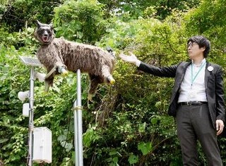 　ファミリーマート日野屋黒保根店の脇に設置した、野生動物撃退装置「モンスターウルフ」＝２４日午前、群馬県桐生市