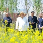 　北朝鮮・新義州で開花したばかりの菜の花畑を視察する金正恩朝鮮労働党総書記（手前左）と娘（同右）＝５月３１日（朝鮮通信＝共同）