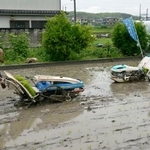 　大阪府富田林市で行われた「奇跡の復興米」の田植え＝２日午前
