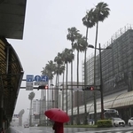 　台風６号が接近した宮崎市内＝２日