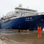 　オホーツク海での操業を終え、仙台港に入った商業捕鯨の母船「関鯨丸」＝８日午前、仙台市
