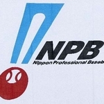 　日本野球機構（ＮＰＢ）の旗