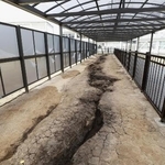 　熊本地震の本震で東海大農学部キャンパス内にできた断層＝２０２０年、熊本県南阿蘇村