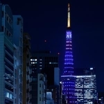 　サッカーＷ杯日本代表を応援するため、チームカラーの青色にライトアップされた東京タワー＝１１日、東京都港区
