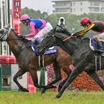 　第６７回宝塚記念で２連覇を達成したメイショウタバル。右は２着のクロワデュノール＝阪神競馬場
