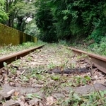 　運休中の大井川鉄道大井川本線の線路＝１６日午前、静岡県川根本町