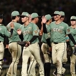 　楽天に勝利し、タッチする阪神ナイン＝甲子園