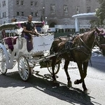 　２０２５年８月、米ニューヨークのセントラルパーク周辺を走る馬車（共同）