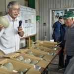 　「大山メロン」の査定会で出来栄えを確認する関係者＝２２日午前、鳥取県大山町