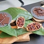 　お披露目された国産カカオ豆を１００％使ったチョコレート＝２４日午後、三重県多気町